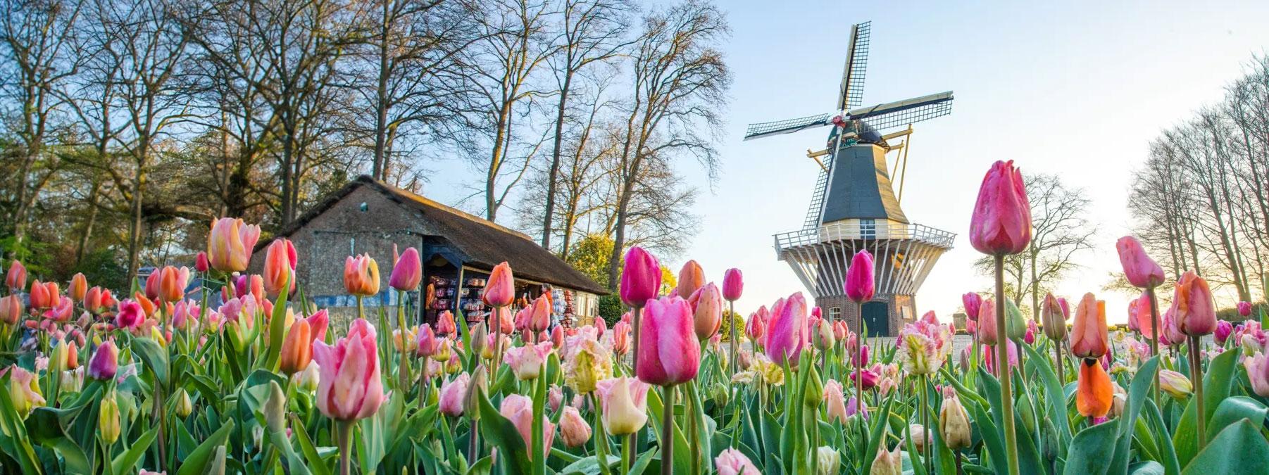 Ontdek de mooiste tours van Holland