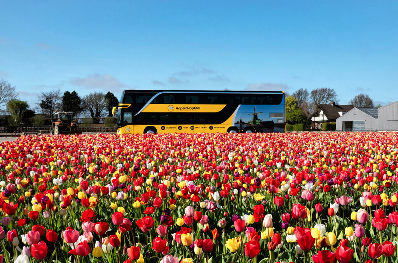 Ontdek het mooiste van Nederland