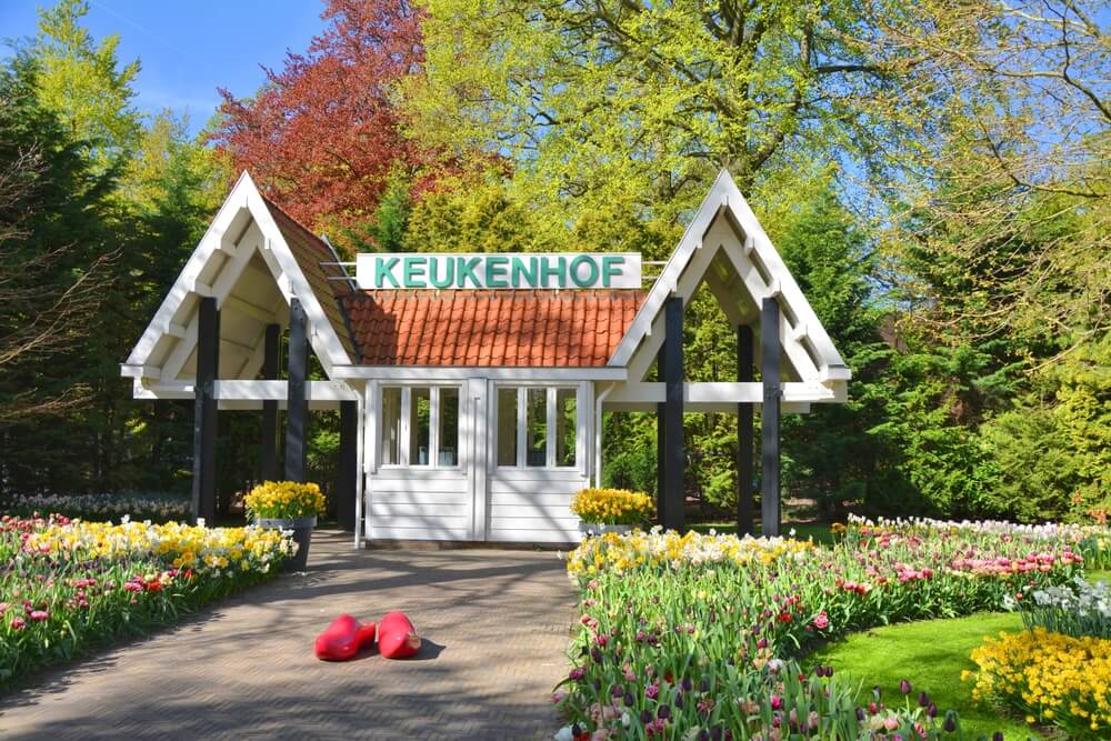 Keukenhof Gardens – a floral wonderland