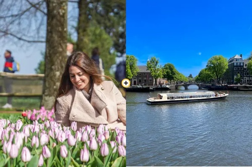 where to see tulips in holland